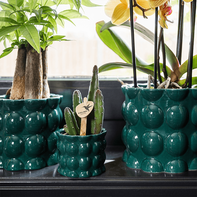 Kolibri Home | Cotton Shine Übertopf - Green - Ø9cm 