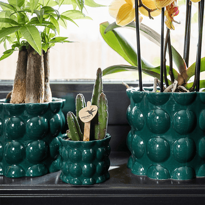 Kolibri Home | Cotton Shine Übertopf - Green - Ø9cm 