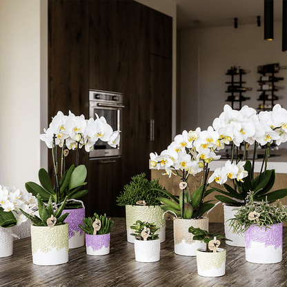 Kolibri Home | Bloom sierpot - Sand - Ø12cm 