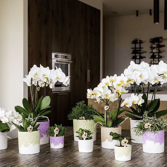 Kolibri Home | Bloom sierpot - Sand - Ø12cm 