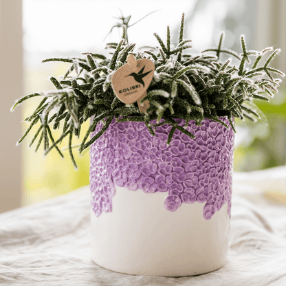 Kolibri Home | Bloom sierpot - Lila - Ø9cm 
