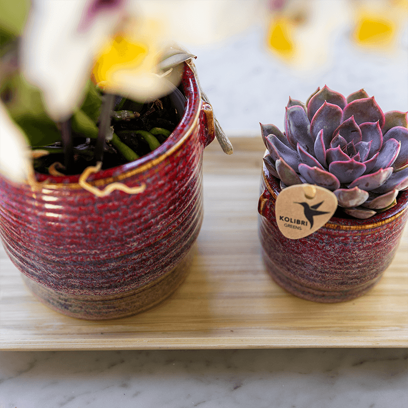 Kolibri Home | Aura sierpot - Ø6cm 
