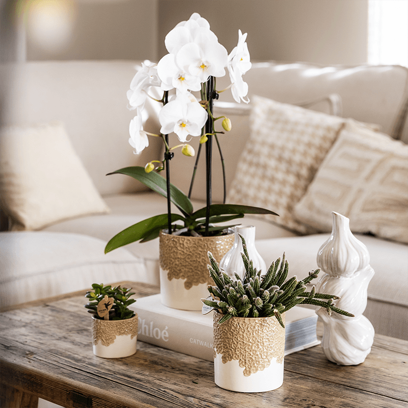 Kolibri Home | Bloom sierpot - Sand - Ø9cm 