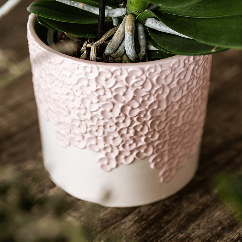 Kolibri Home | Bloom sierpot - Pink - Ø12cm 