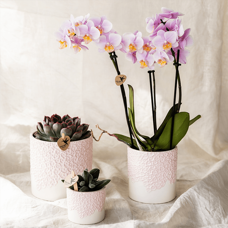 Kolibri Home | Bloom sierpot - Pink - Ø12cm 