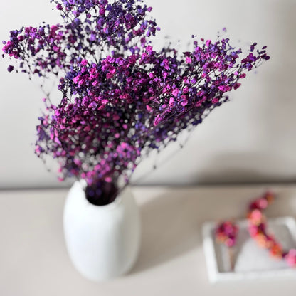 Gypsophilia | Schleierkraut: Ewige Schönheit für Deine Trockenblumensträuße und -kränze 