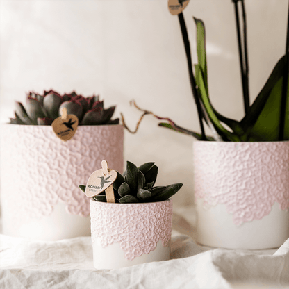 Kolibri Home | Bloom sierpot - Pink - Ø12cm 