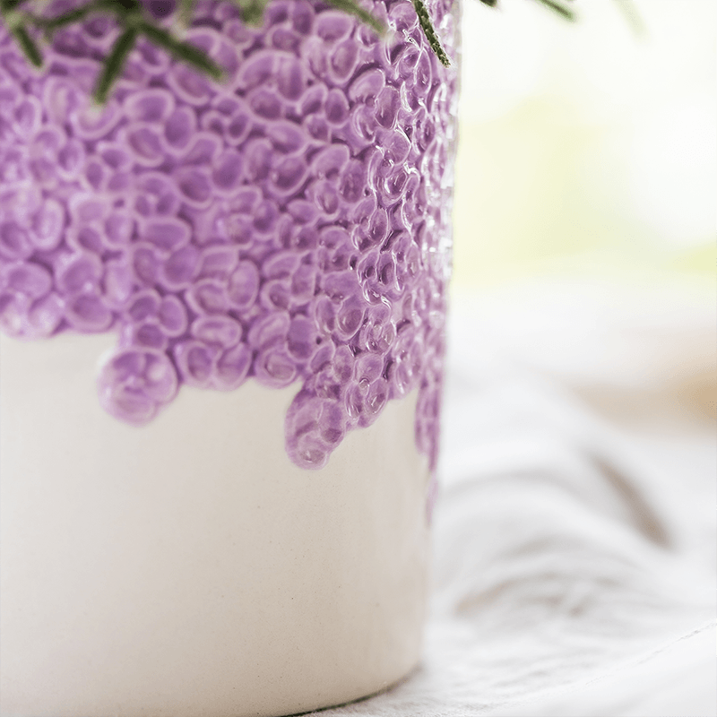 Kolibri Company | Bloom Purple Pflanzenset | Violette Vienna Orchidee + Grünpflanzen inkl. Übertöpfe 
