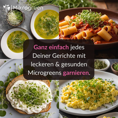 Microgreens Nachfüllset 