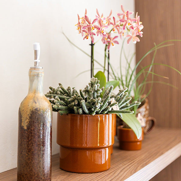 Übertopf 'Timeless' – Kolibri Home – Orange – Ø12cm – Ansicht 2