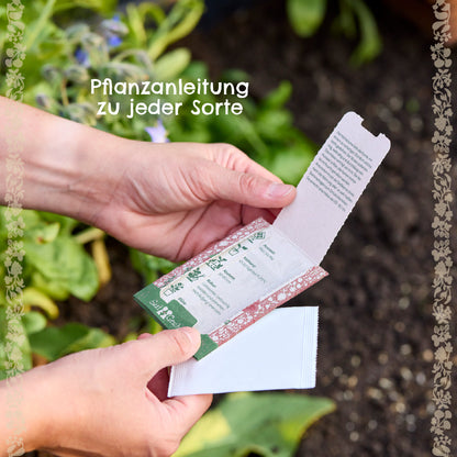 BIO-Saatgut Schnittlauch 