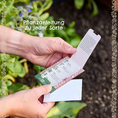 BIO-Saatgut Sonnenblume 