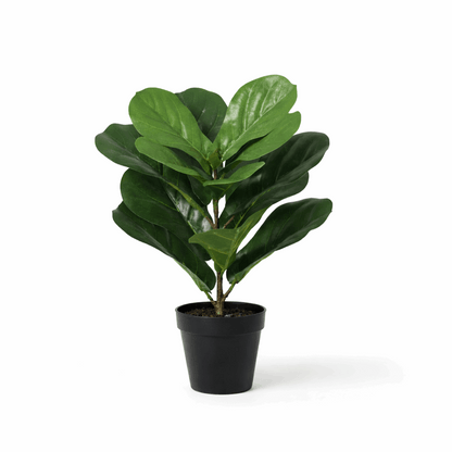 Ficus lyrata Kunstpflanze 40cm – Kompakte Geigenfeige Deko Pflanze – Pflegefreie Zimmerpflanze für Fensterbank Büro & Regal