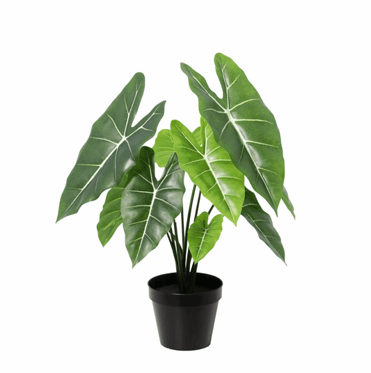 Alocasia Polly Kunstpflanze 40cm – Dekorative Elefantenohr Deko Pflanze – Pflegefreie Zimmerpflanze für Wohnzimmer Büro & Fensterbank