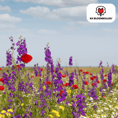Wildblumensamen – 100g für 30–50m² – Bienen- & Schmetterlingsfreundlich – Einjährige & mehrjährige Blumen – Für Garten, Wiese, Beet – GVO-frei & nachhaltig 