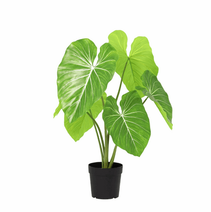 Philodendron Kunstpflanze 100cm – Tropische Deko Pflanze – Pflegefreie Zimmerpflanze für Wohnzimmer Büro & Empfangsbereich