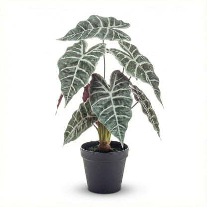 Alocasia Kunstpflanze Busch im Topf 40cm – Realistische Deko Pflanze für Wohnzimmer Büro & Regal – Pflegefreie Zimmerpflanze mit breiten Blättern