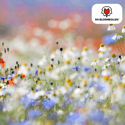 Wildblumensamen – 100g für 30–50m² – Bienen- & Schmetterlingsfreundlich – Einjährige & mehrjährige Blumen – Für Garten, Wiese, Beet – GVO-frei & nachhaltig 