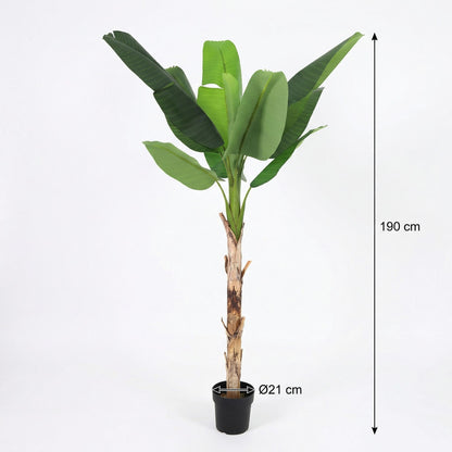 ARTIFICIAL Banana plant Musa - 190cm 
