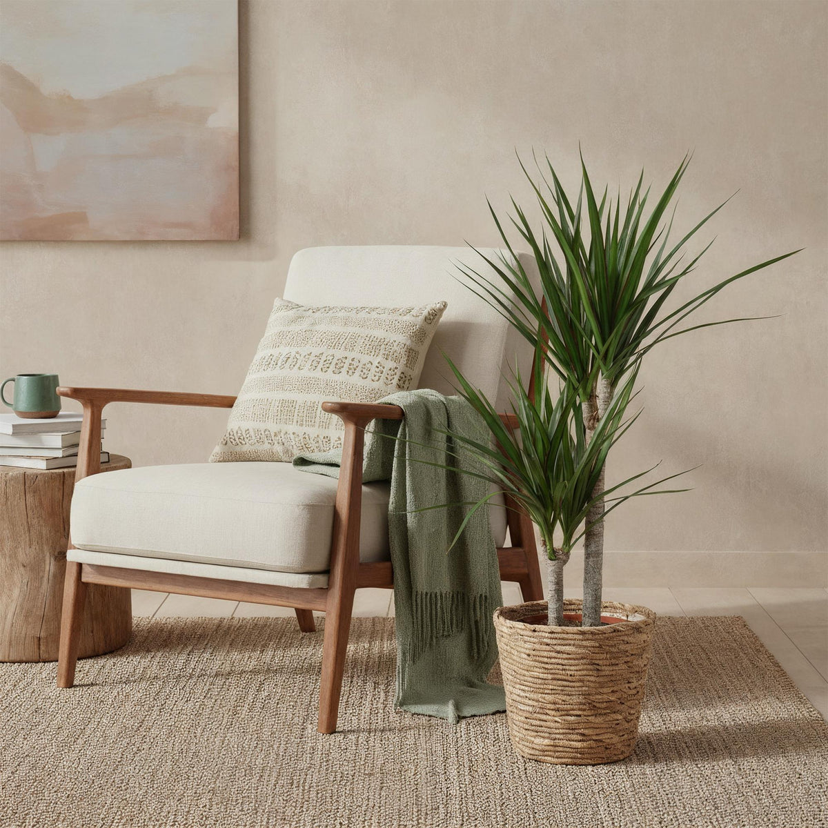 Green boutiQ - Zimmerpflanzen - Dracaena Marginata - Drachenbaum - Wenig Pflege - Grün - 1 Pflanze - Topf 21cm - Höhe 90-100cm 