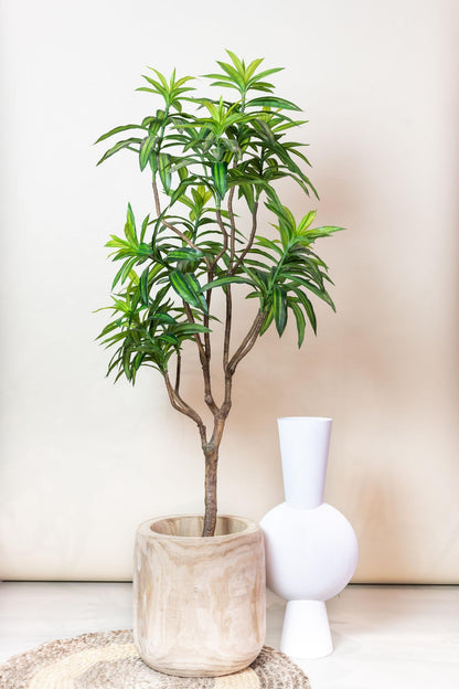 Kunstpflanze - Dracaena - Drachenbaum - 155 cm 