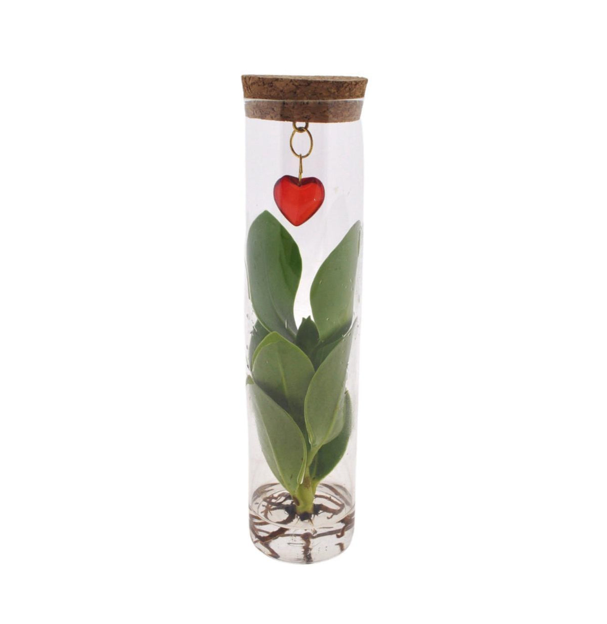 Mix In Tube Glas + Jewel (hartje) - Ø7cm - ↕15cm 
