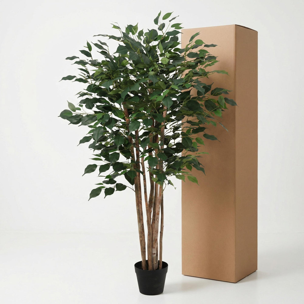 ARTIFICIAL Ficus Benjamina - 150cm 