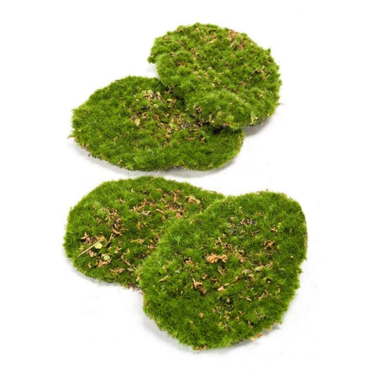 Mosplaat – Groen mos – Set van 4 – Kunstmos 
