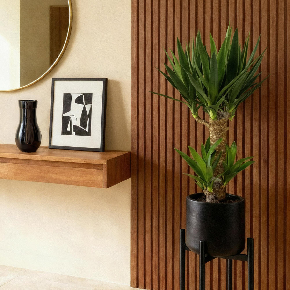 Palmlilie Yucca Elephantipes – 75cm – 17cm – Pflegeleichte Palmlilie mit schmalen, grünen Blättern – Robuste, luftreinigende Zimmerpflanze für moderne Innenräume 