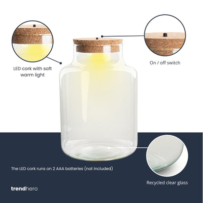 Terrarium fles met kurk - Little Milky met led kurk - Gesloten groot terrarium ↑ 24.5 cm 
