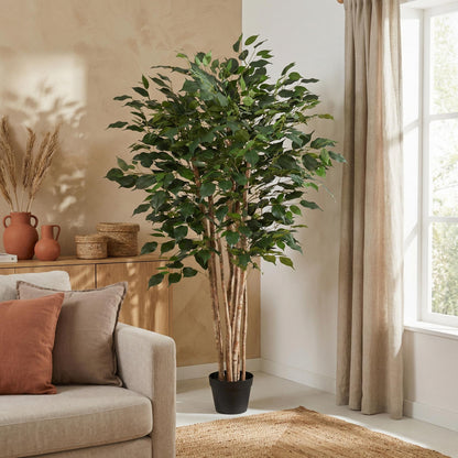 ARTIFICIAL Ficus Benjamina - 150cm 