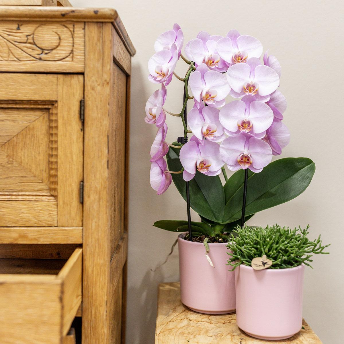 Kolibri Home | Simplicity pot - Roze - 9cm 