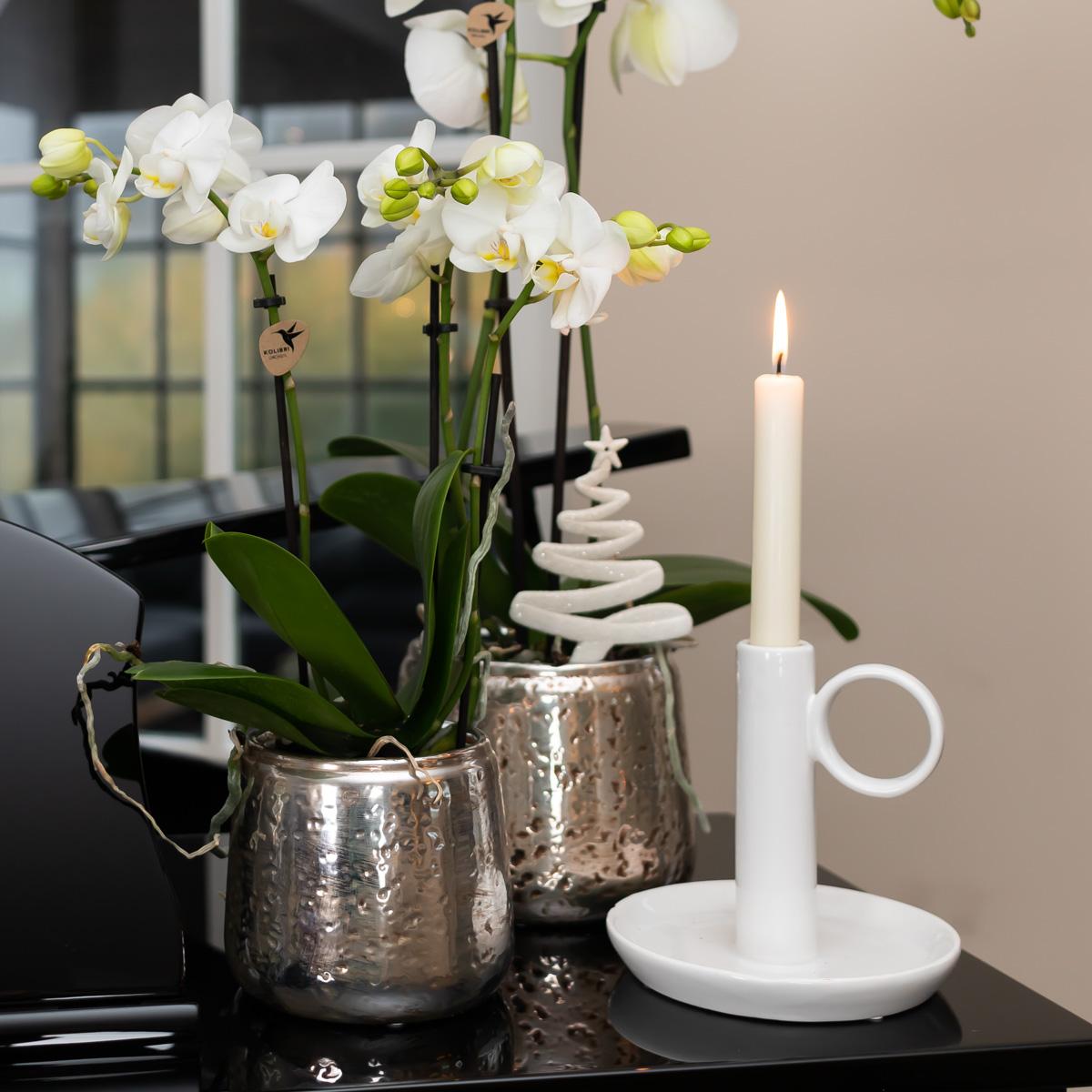 Luxuriöser Blumentopf – Silberner Keramiktopf Ø6cm – Eleganter Ziertopf für kleine Pflanzen – Hochglanz-Dekoration für Wohnraum & Büro 