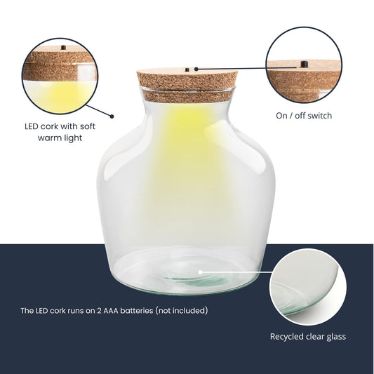 Terrarium fles met LED-verlichting - Gesloten terrarium - Little Joe - ↑ 22 cm - Ø 20 cm 