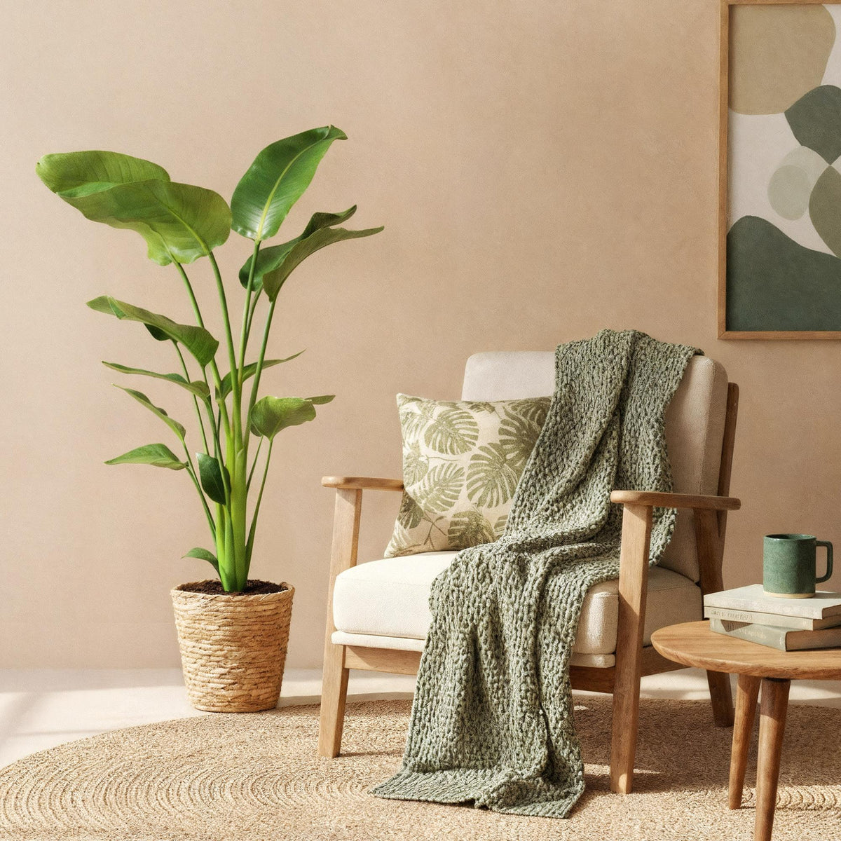 Green boutiQ - Zimmerpflanzen - Stelitzia Nicolai - Paradiesvogelblume - Geringer Pflegeaufwand - mit Korb - Grün - 1 Pflanze - Topf 21cm - Höhe 110-120cm 