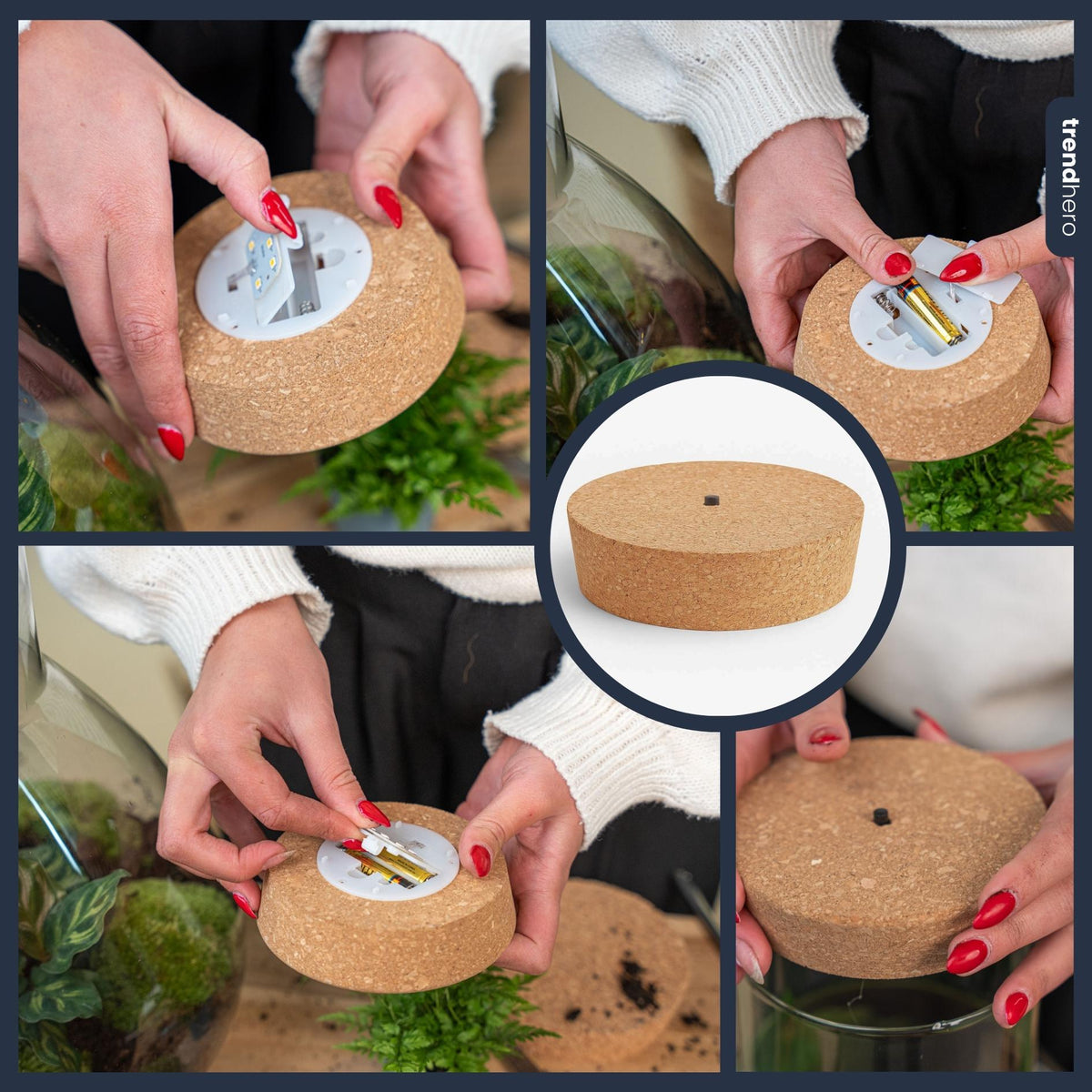 Led kurk M  - Kurk met verlichting - LED lamp voor terrarium - 12 x 10,8 x 3 cm 