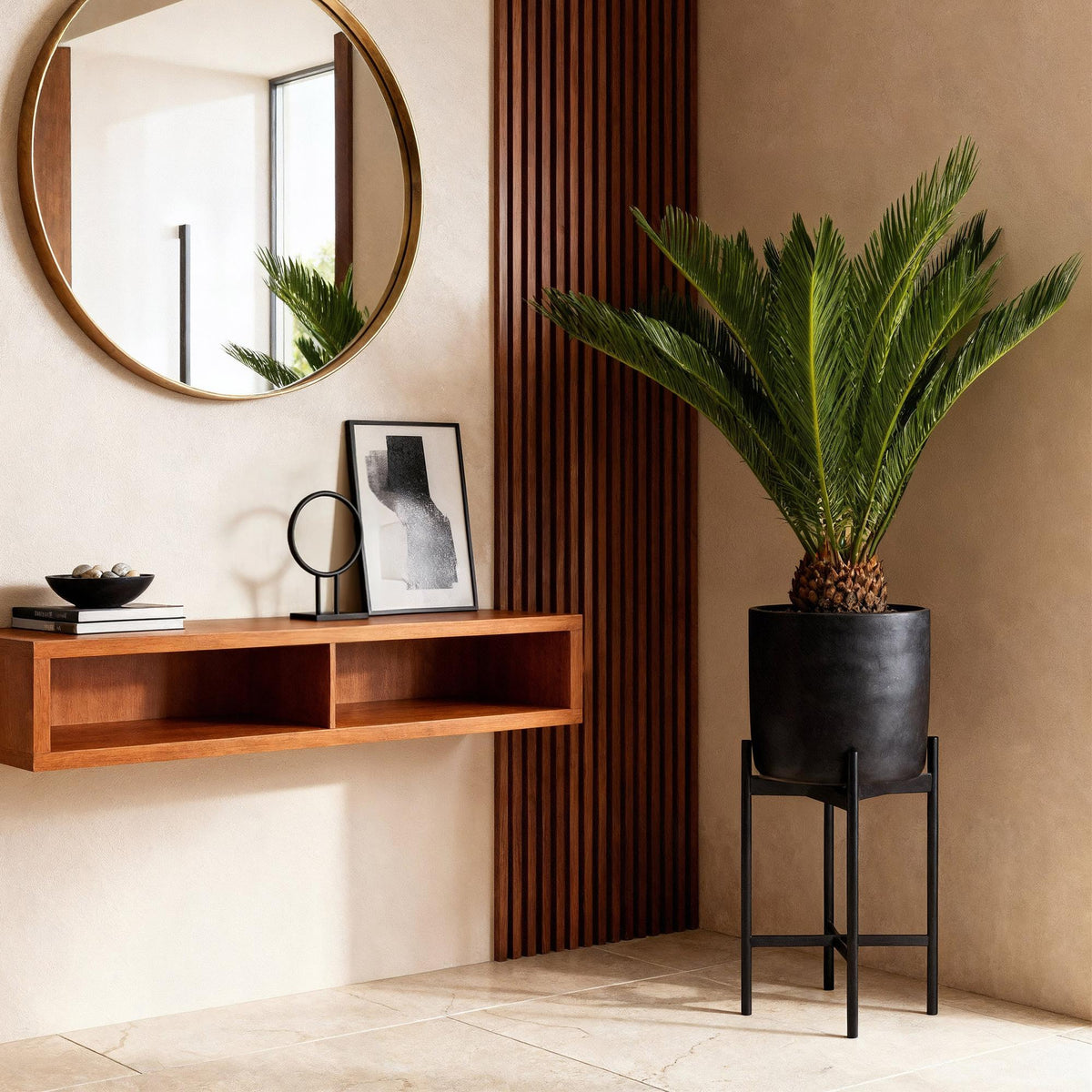 Cycas Revoluta – Palmfarn – 70cm – 17cm – Pflegeleichte Zimmerpflanze mit fiederförmigen Blättern – Robuste Sago-Palme für elegante Innenräume 