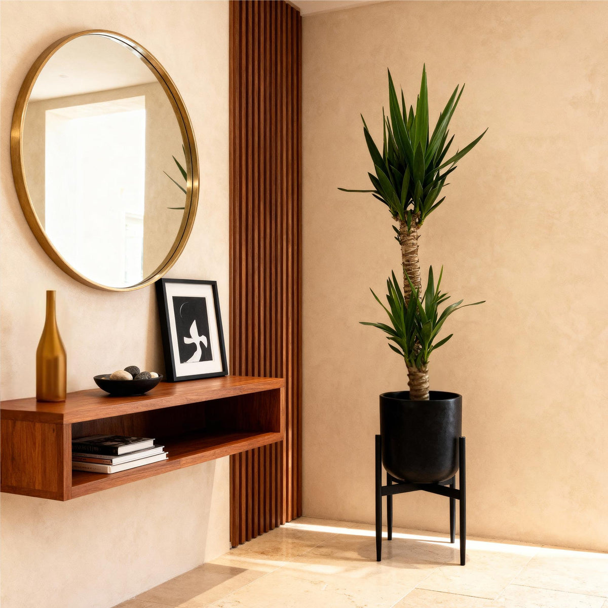 Yucca Elephantipes – 120cm – 19cm – Pflegeleichte Zimmerpflanze mit schmalen Blättern – Robuste Palmlilie für helle & halbschattige Innenräume – Tropische Grünpflanze 