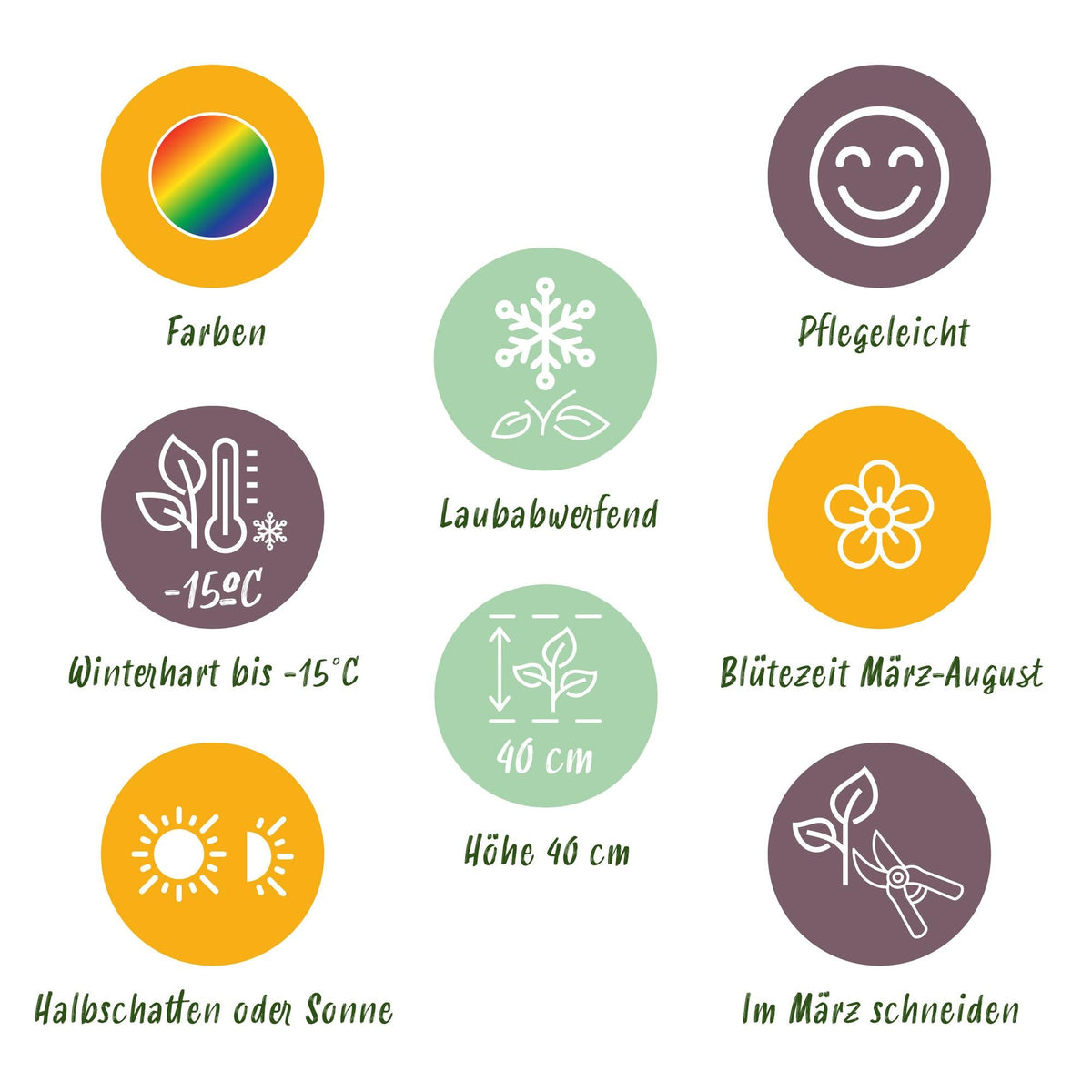 Staudenset – Bodendecker – 24 Stauden für 3 m² – Bunte Blühpflanzen – Pflegeleicht – Unkrauthemmend – Für sonnige Standorte – Ø11 cm 