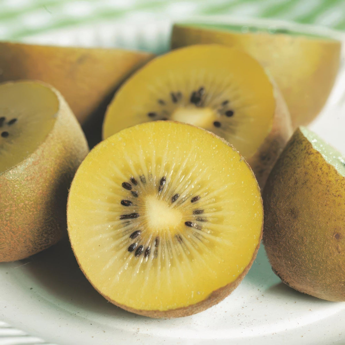 Green boutiQ - Obststrauch - Actinidia Weiki & Golden Kiwi - Kiwi-Pflanze - 1 Männlich - 3 Weiblich - Pflanzen - Gelb - Topf 15cm - Höhe 50cm 