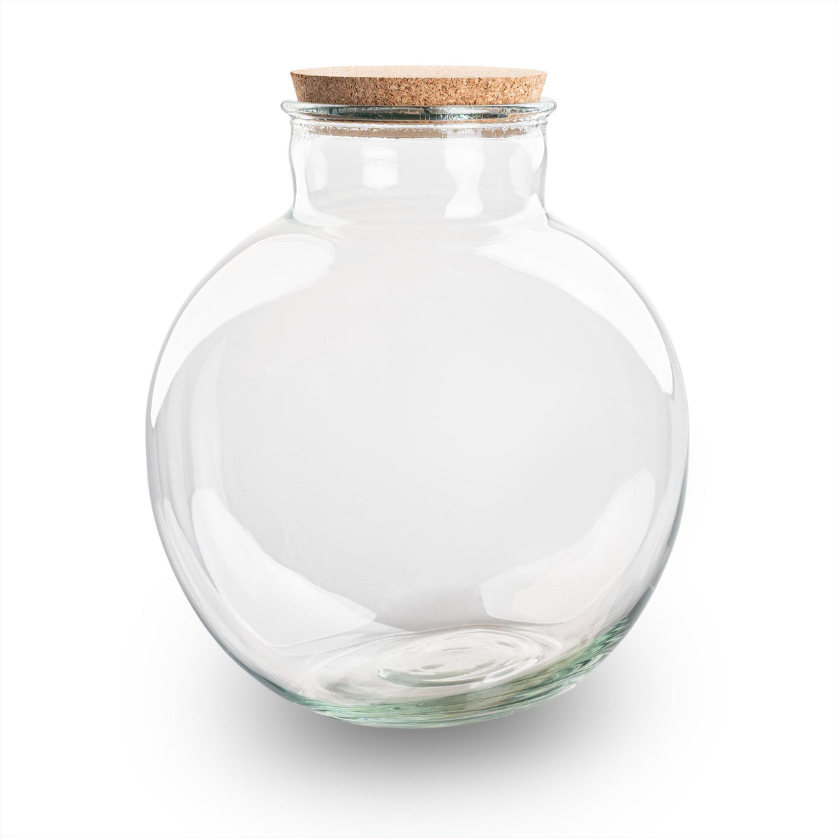 Terrariumflasche Bolder Bob – Ø30cm x 31cm – Glasflasche mit LED-Korken – Recyclingglas Dekoflasche für Pflanzenterrarium Flaschengarten DIY Indoor Deko 11L 