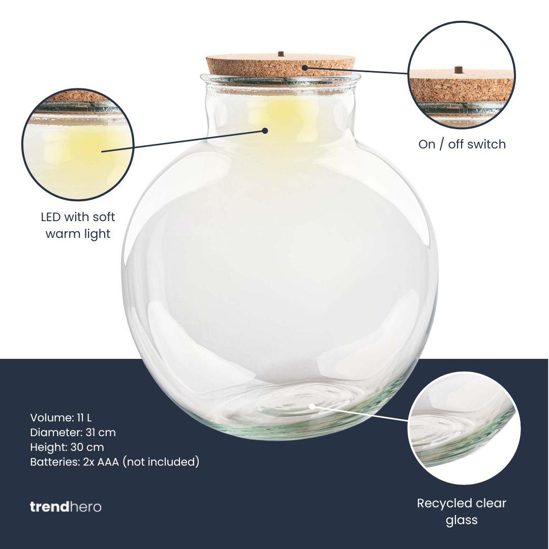 Terrariumflasche Bolder Bob – Ø30cm x 31cm – Glasflasche mit LED-Korken – Recyclingglas Dekoflasche für Pflanzenterrarium Flaschengarten DIY Indoor Deko 11L 