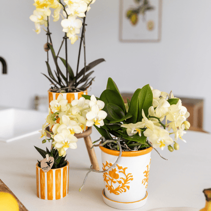 Malaga Blumentopf Orange Ø9cm – Dekorativer Keramiktopf in sommerlichem Design – Pflanzentopf für Zimmerpflanzen & Kräuter – Stilvolle Blumendeko für Wohnzimmer, Küche & Büro 