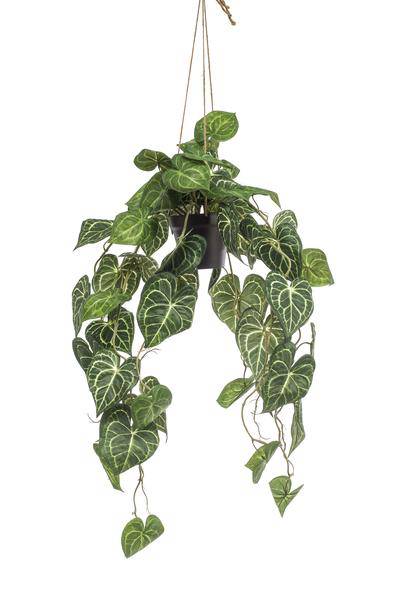 Kunstpflanze - Anthurium Clarinervium - 80 cm 