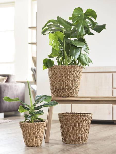 Korb - Hellbraun - Jip Natur - M - H23cm - B26cm 