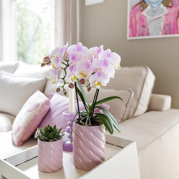 Candy Dekotopf – Hoch – Rosa – Ø9cm – Keramik Übertopf – Runde Form – Farbenfrohes Design – Für Zimmerpflanzen & Orchideen 