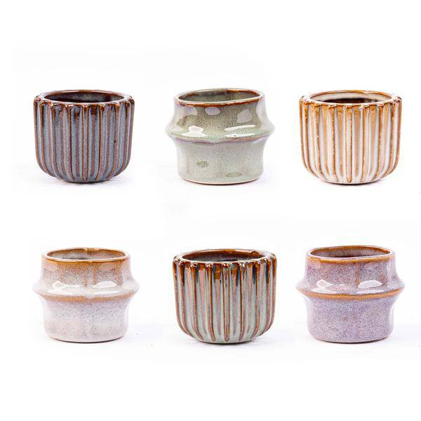 Zimmerpflanzen Set mit 6 Pflanzen + Keramik-Topfset Barcelona – kompakt & stilvoll – Hedera Helix, Farn, Coffea Arabica, Bergpalme, Ficus Ginseng Bonsai, Mini-Palme 