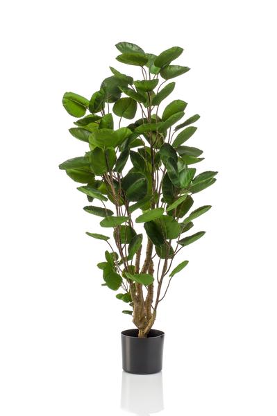Kunstpflanze - Polyscias - Aralia - 105 cm 