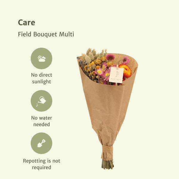 Trockenblumen - Blumenstrauß - Field Bouquet Multi - Trockener Blumenstrauß - 35cm - Ø15cm - 12 Stück 