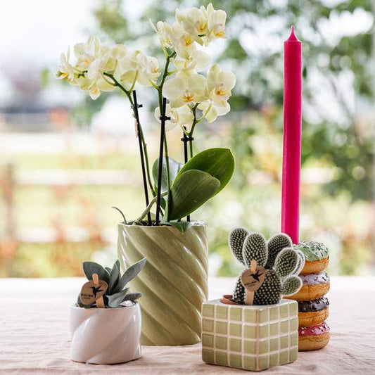 Candy Dekotopf - Hoch - Grün - Ø9cm 